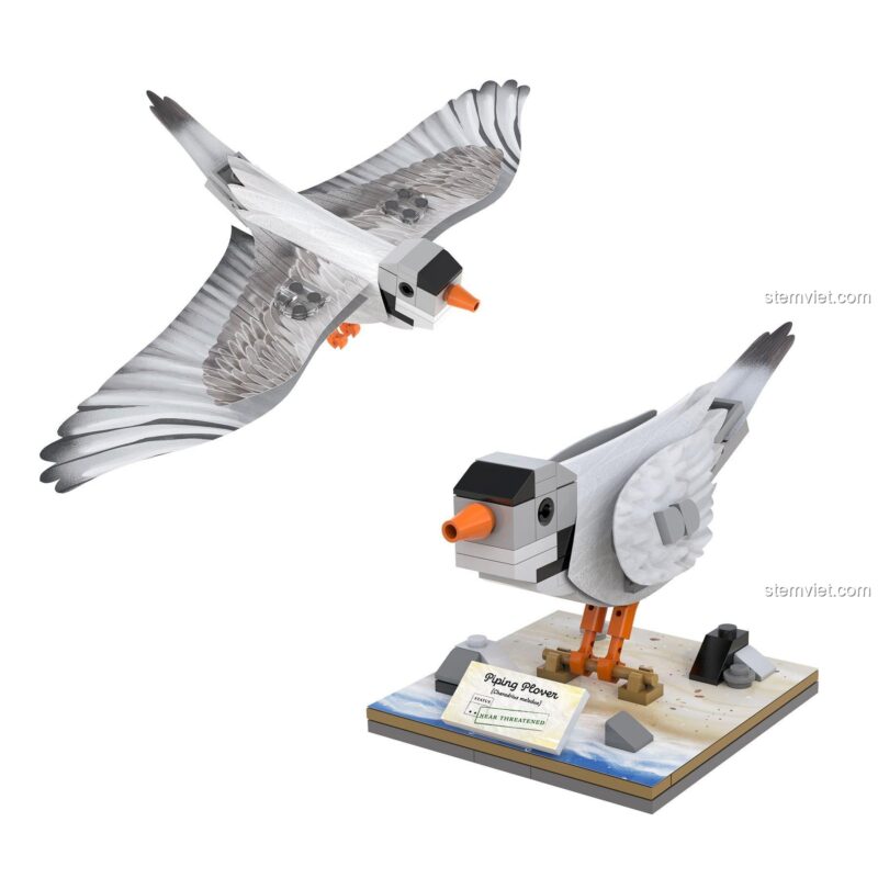 Mô hình chim Dẽ Cổ Đỏ CaDA C71025, bộ lắp ghép chim loài nguy cấp, đồ chơi sáng tạo cho bé trai 6 tuổi.