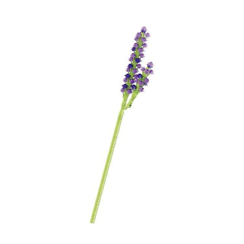 BALODY 20091-1 bộ đồ chơi Hoa oải hương 90 mảnh ghép cho bé gái 6 tuổi
