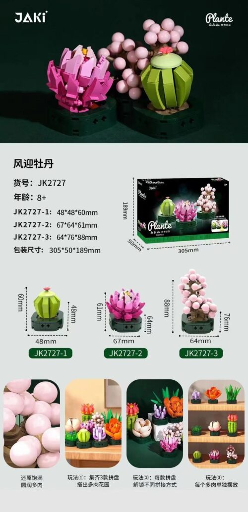 Poster bộ lắp ghép Chậu Cây Mọng Nước JAKI JK2727, hiển thị 3 mẫu cây và kích thước chi tiết, đồ chơi cho bé gái 8 tuổi.