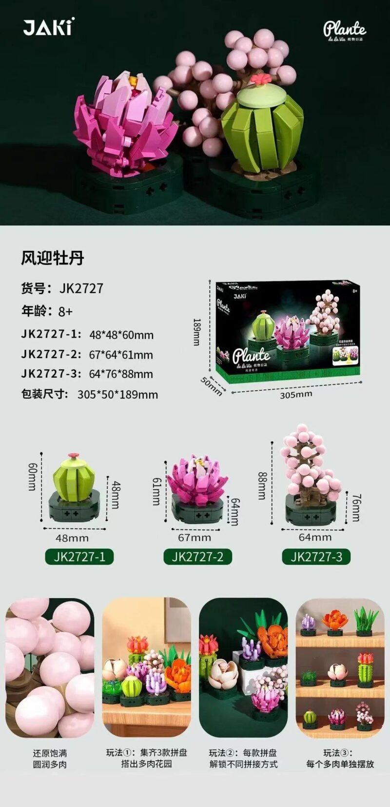 Poster bộ lắp ghép Chậu Cây Mọng Nước JAKI JK2727, hiển thị 3 mẫu cây và kích thước chi tiết, đồ chơi cho bé gái 8 tuổi.