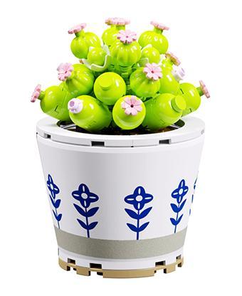 bộ lắp ghép Mô hình cây mọng nước Conophytum Moonlight Society 804208 màu xanh lá trắng xanh dương cho bé 8 tuổi giá tốt