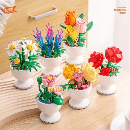 Bộ lắp ghép 6 chậu hoa để bàn Pleyerid M38-B1077, mô hình hoa mini trang trí thanh lịch cho bé gái 12 tuổi, giá rẻ.