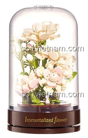 Mô hình Hộp nhạc hoa bất tử lắp ráp bằng mini block, có mái vòm trong suốt, đế nâu, sản phẩm của TOP TOY JP61006