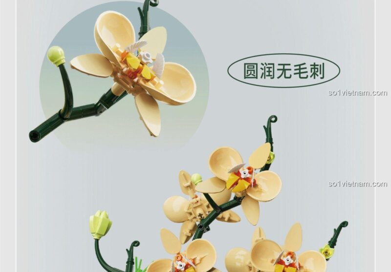 Kích thước hộp sản phẩm Lan Hồ Điệp Thanh Nhã TOP TOY TC1101