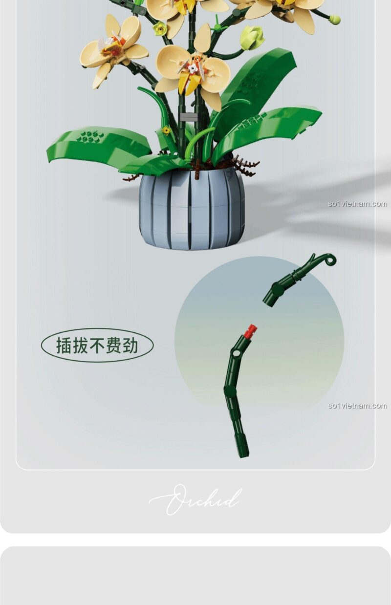 Kích thước mô hình Lan Hồ Điệp Thanh Nhã TOP TOY TC1101