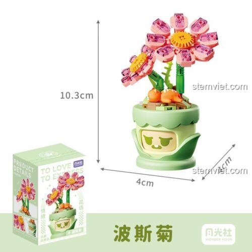 Hộp đồ chơi lắp ghép Hoa Cúc Vạn Thọ Cảm Xúc Wonder Moon 804428, thể hiện kích thước mô hình hoa cúc vạn thọ và thông số hộp, phù hợp cho con gái 14 tuổi.