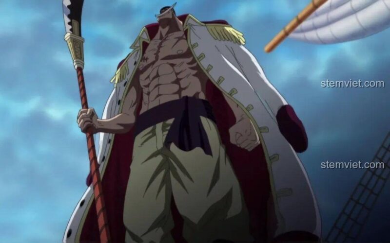 Bộ 8 Nhân vật One Piece XINH X0353 - Toàn cảnh bộ nhân vật
