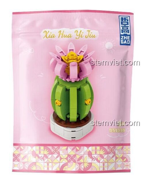 Mô hình bộ lắp ghép Chậu cây xương rồng Zhegao DS1030 sau khi hoàn thiện, phù hợp cho bé gái 8 tuổi.