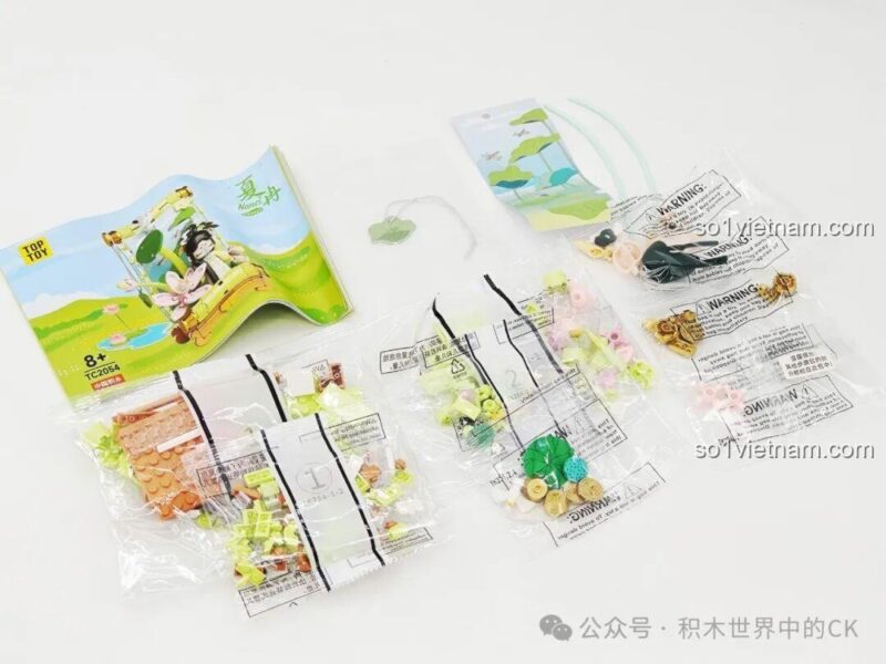 Các chi tiết bên trong của bộ lắp ghép Nanci mùa xuân, không phải sản phẩm TC2054.