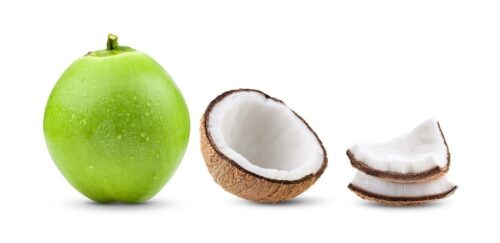 Kẹp Tóc Bí Ngô Coconut 7125