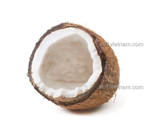 Kẹp Tóc Bí Ngô Coconut 7125