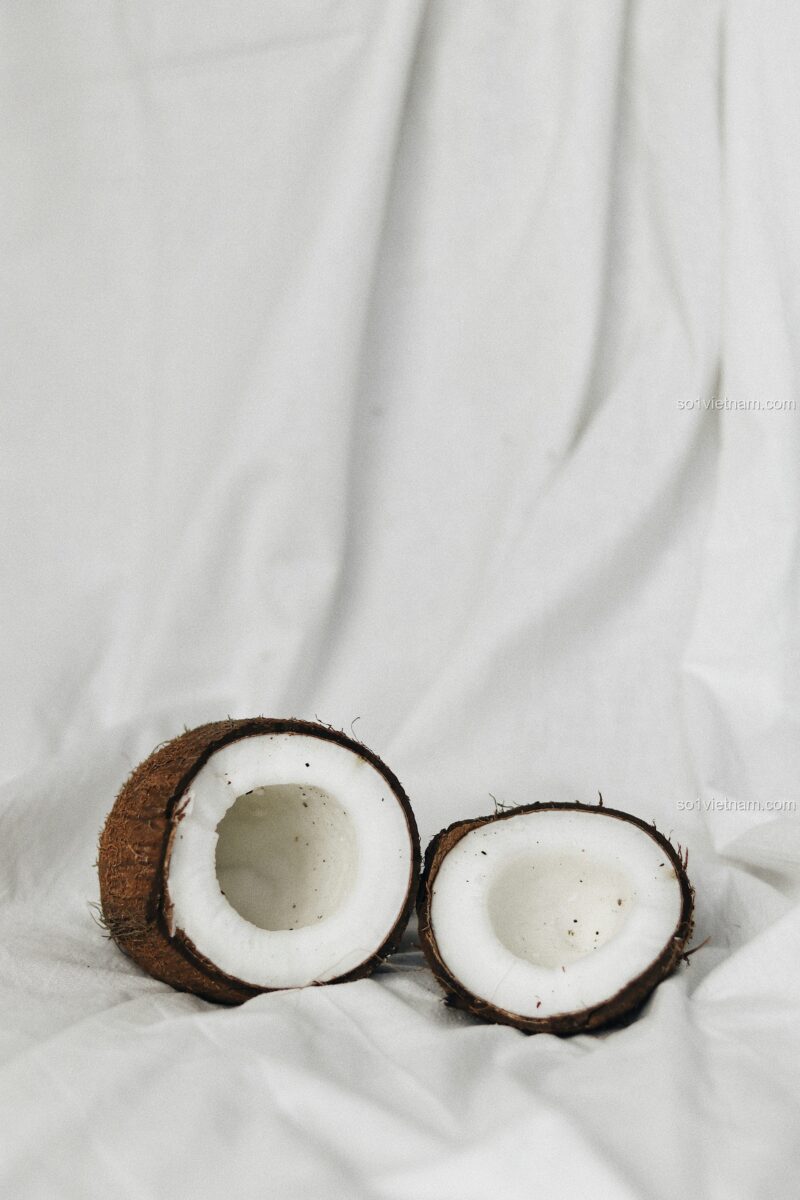 Kẹp Tóc Bí Ngô Coconut 7125