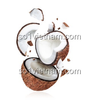 Kẹp tóc Giáng sinh 椰壳Coconut 7128, Phụ kiện tóc Giáng sinh, Đồ trang trí Giáng sinh, Quà tặng Giáng sinh, giá tốt
