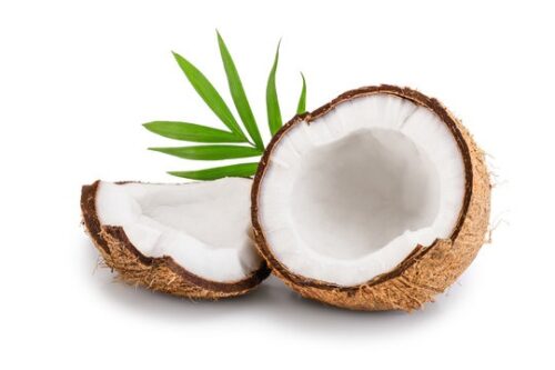 Kẹp tóc Giáng sinh 椰壳Coconut 7128, Phụ kiện tóc Giáng sinh, Đồ trang trí Giáng sinh, Quà tặng Giáng sinh, giá tốt