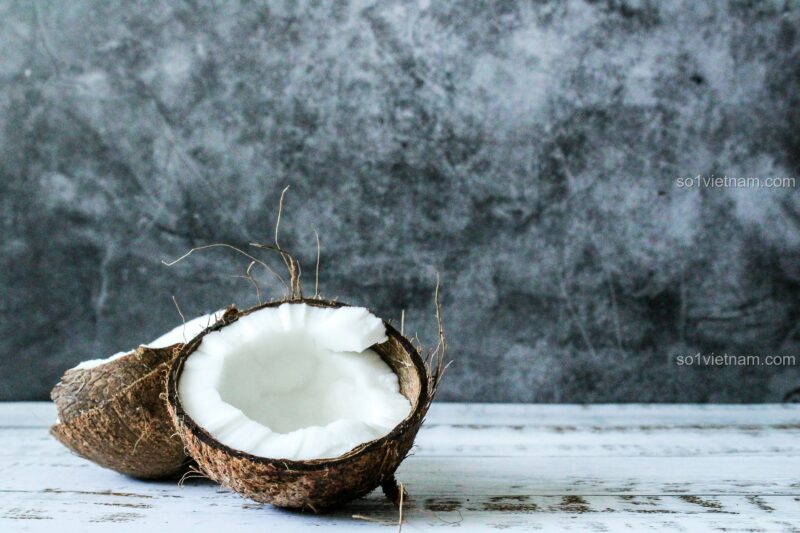 Dừa xanh trên nền xanh