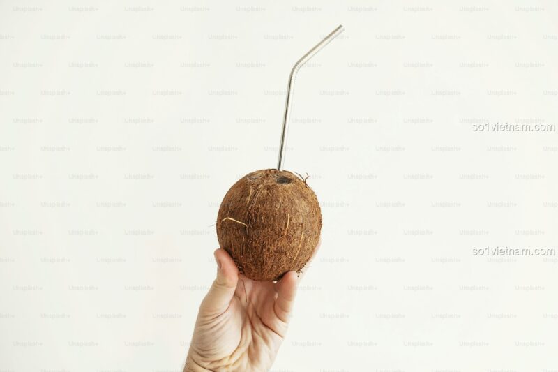 Kẹp tóc Giáng sinh 椰壳Coconut 7128, Phụ kiện tóc Giáng sinh, Đồ trang trí Giáng sinh, Quà tặng Giáng sinh, giá tốt