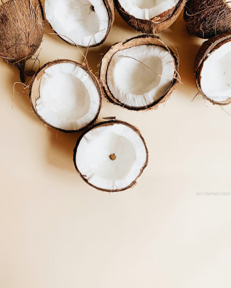 Kẹp tóc Giáng sinh 椰壳Coconut 7128, Phụ kiện tóc Giáng sinh, Đồ trang trí Giáng sinh, Quà tặng Giáng sinh, giá tốt