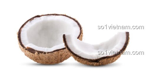 Nửa quả dừa
