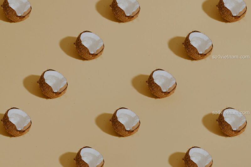 Kẹp tóc Nút bấm Coconut 7136 phụ kiện làm đẹp, phụ kiện tóc cho bé gái