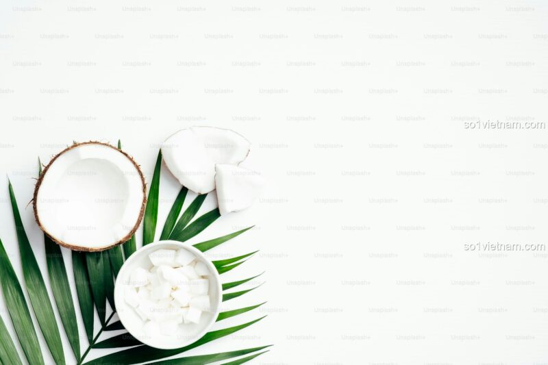 Kẹp tóc Nút bấm Coconut 7136 thời trang trẻ em, phụ kiện tóc cho bé gái