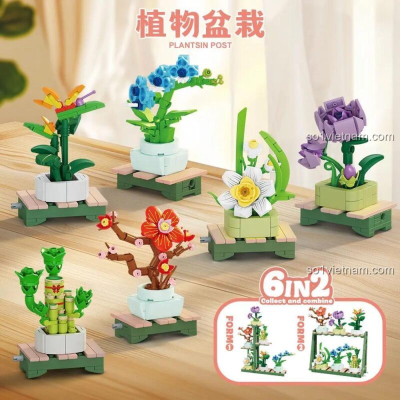 Bộ xếp hình mô hình thực vật Forange FC8162 với 6 mẫu cây cảnh độc đáo, có thể lắp ráp thành 2 kiểu trưng bày, đồ chơi sáng tạo cho bé trai và bé gái 6 tuổi.