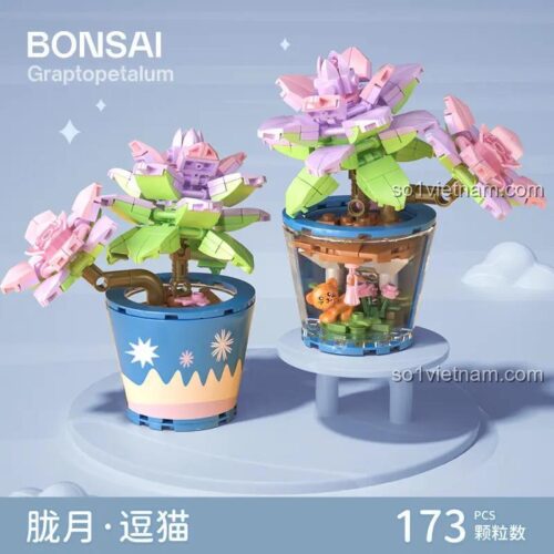 Mô hình Bonsai "Lưỡng Nguyệt" - Chơi Cùng Mèo MENG 9131 lắp ráp hoàn chỉnh