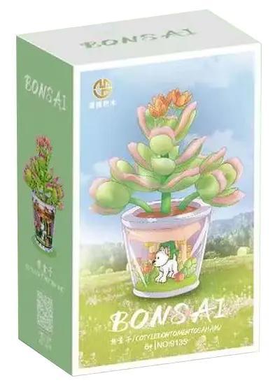 Hộp sản phẩm bộ lắp ghép Bonsai Chậu Cây Mọng Nước MGM 9135
