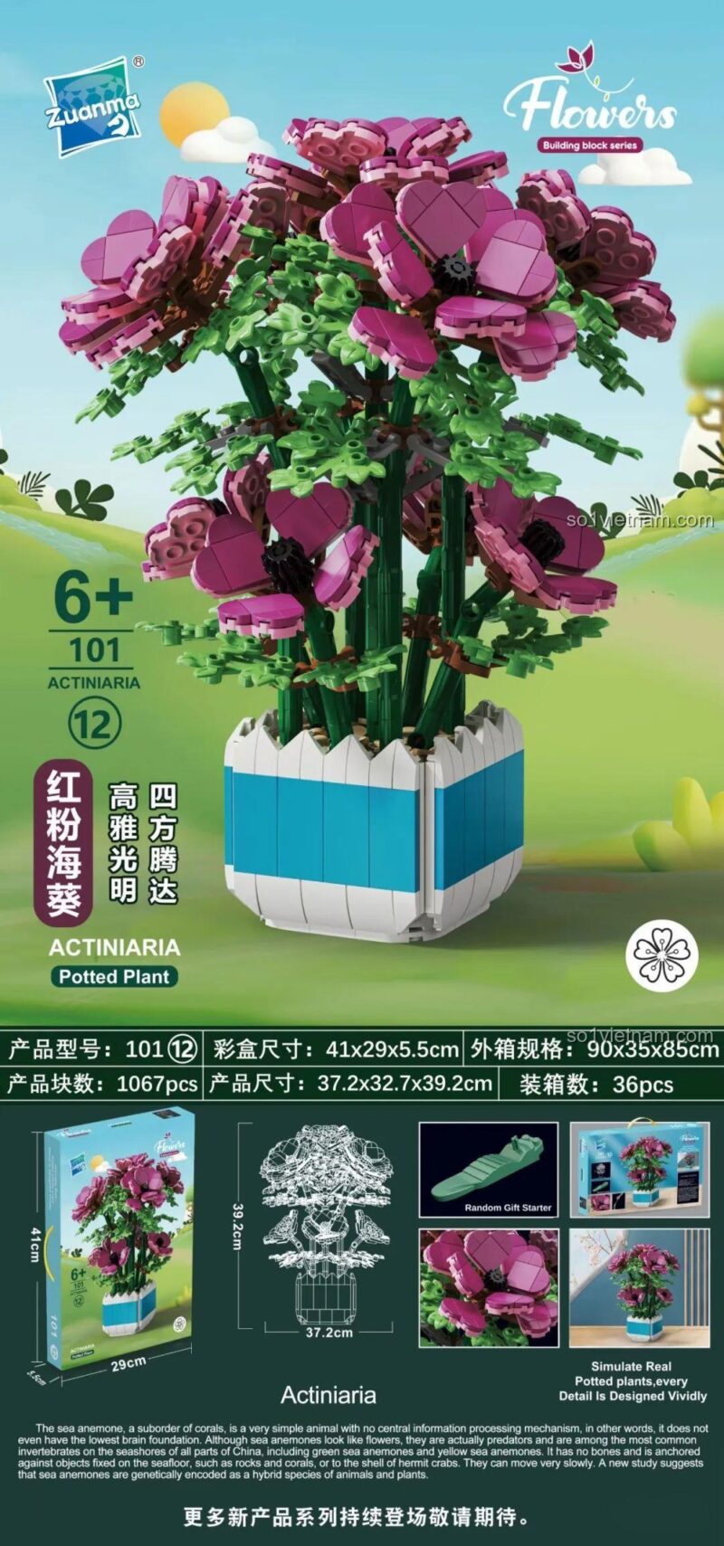 Mô hình Chậu hoa hải quỳ hồng lắp ráp từ bộ đồ chơi Zuanma 101-12, gồm 1067 mảnh ghép, chi tiết tinh xảo, màu tím và xanh dương chủ đạo, phù hợp cho bé gái 6 tuổi.